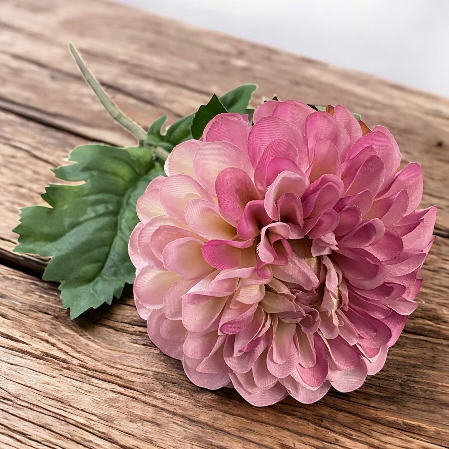 Eine künstliche Dahlienblüten in Rosa mit grünem Blattwerk und Stiel im Ambiente