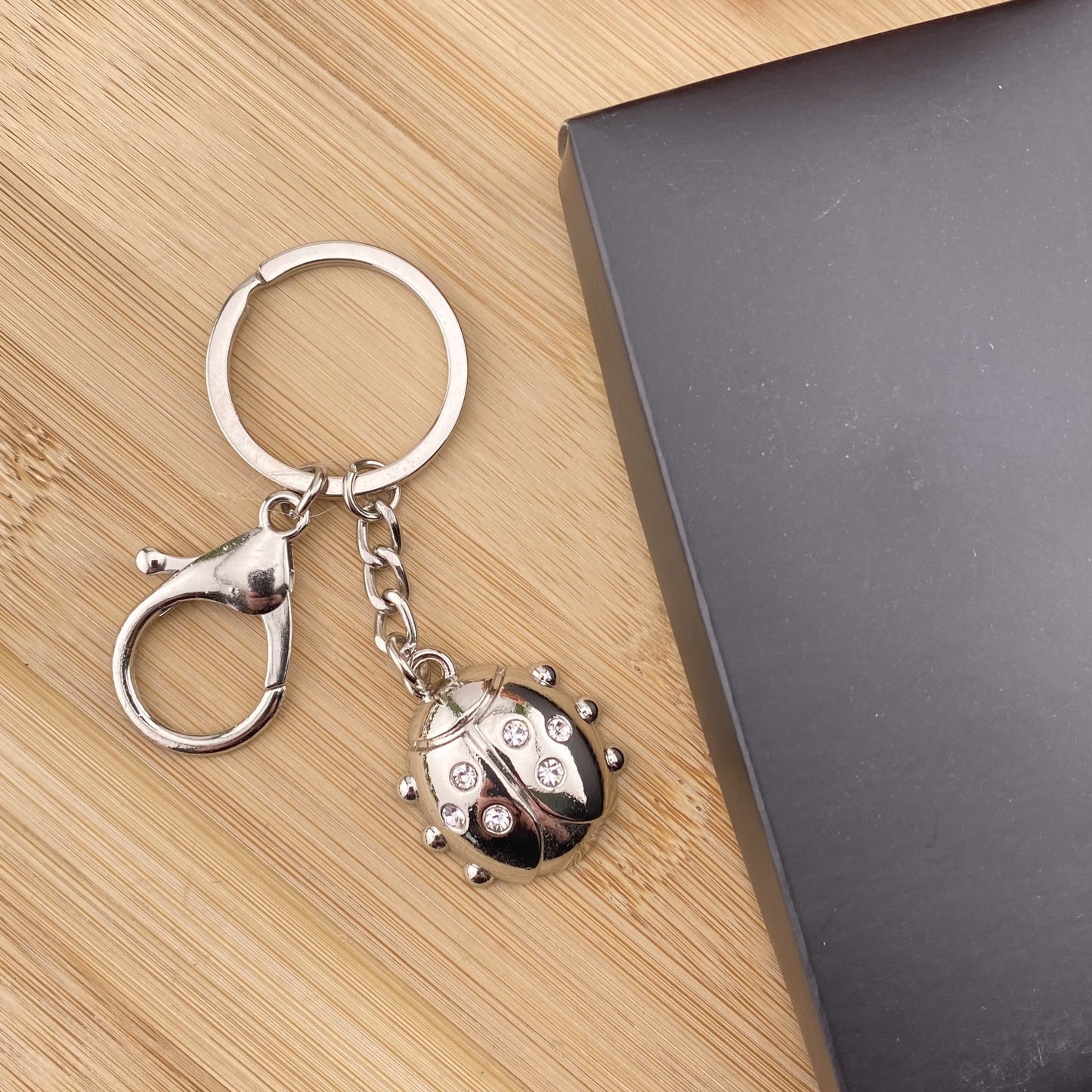 Ein silberner Schlüsselanhänger in Form eines Marienkäfers im Ambiente