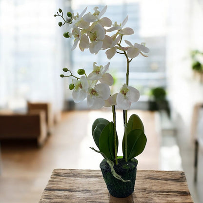 Künstliche weiße Orchidee im Topf, 60 cm hoch, als elegante Dekoration auf einem Holztisch im modernen Raum.