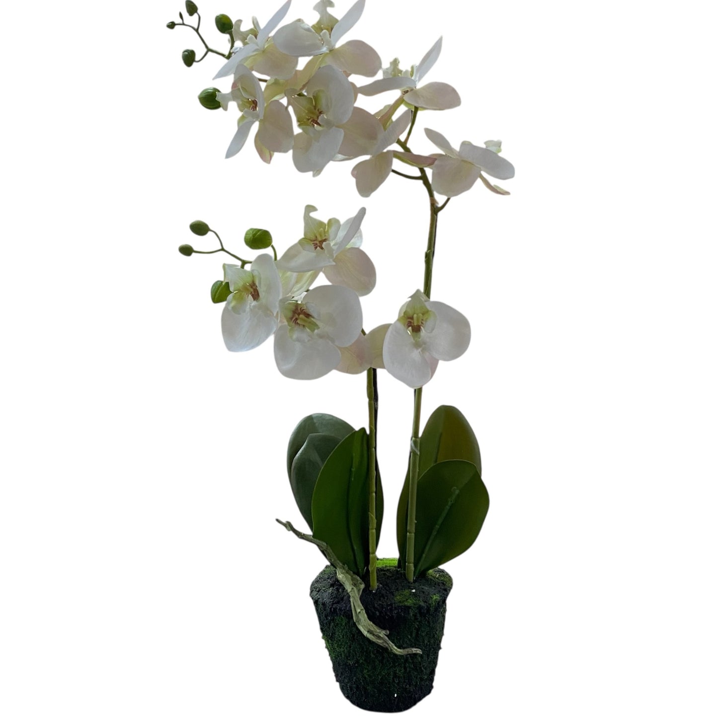 Realistische Deko-Orchidee als Kunstblume in Weiß, 60 cm hoch, mit grünem Topf und Blättern.