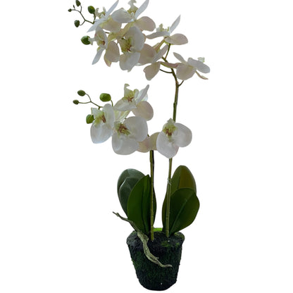 Realistische Deko-Orchidee als Kunstblume in Weiß, 60 cm hoch, mit grünem Topf und Blättern.