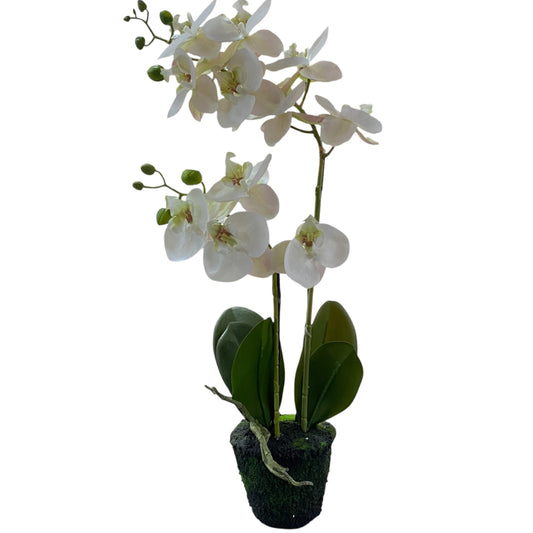 Realistische Deko-Orchidee als Kunstblume in Weiß, 60 cm hoch, mit grünem Topf und Blättern.