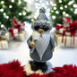 Nikolaus mit Sonnenbrille und Mikrofon im Ambiente platziert
