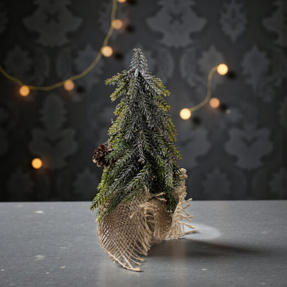 Ein einzelner grüner Dekotannenbaum mit Zapfen in einem Jutebeutel steht auf einer dunklen Oberfläche vor einem dekorativen Hintergrund mit Lichterkette.
