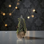 Ein einzelner kleiner grüner Dekotannenbaum mit Zapfen in einem Jutebeutel steht auf einer dunklen Fläche vor einer dezenten Lichterkette.