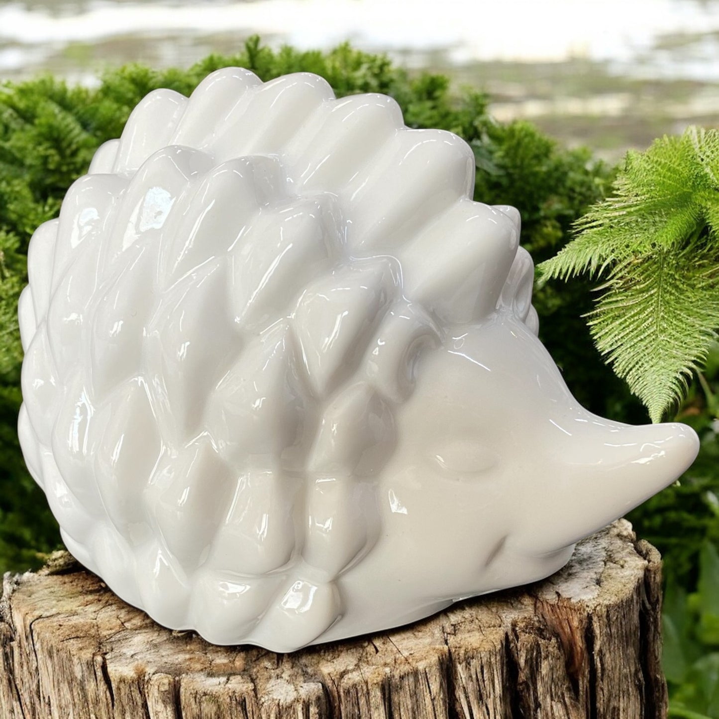 Eine creme-weißer Igel Figur aus Keramik von Tiziano im Ambiente