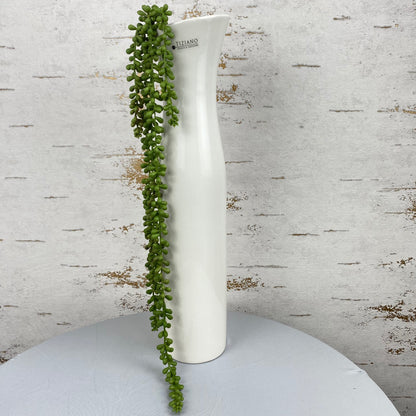 Eine 50 cm hohe, creme-weiße Keramik Deko Vase ist im Ambiente platziert. Die Vase ist schmal und sehr hoch.