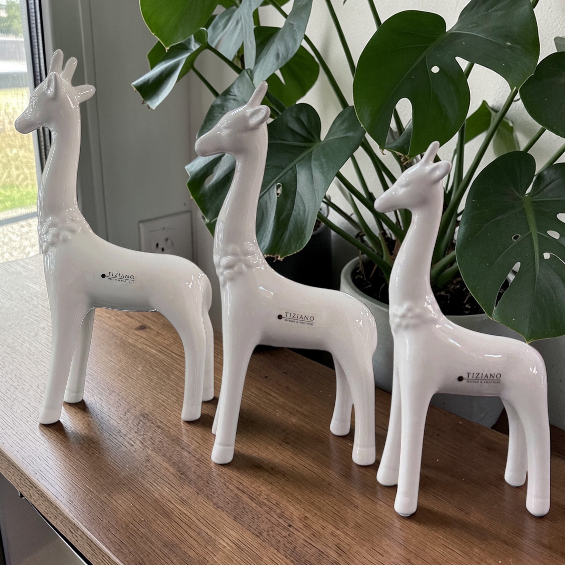Drei weiße Keramik-Giraffen in verschiedenen Größen stehen dekorativ auf einem Holztisch vor einer grünen Zimmerpflanze.