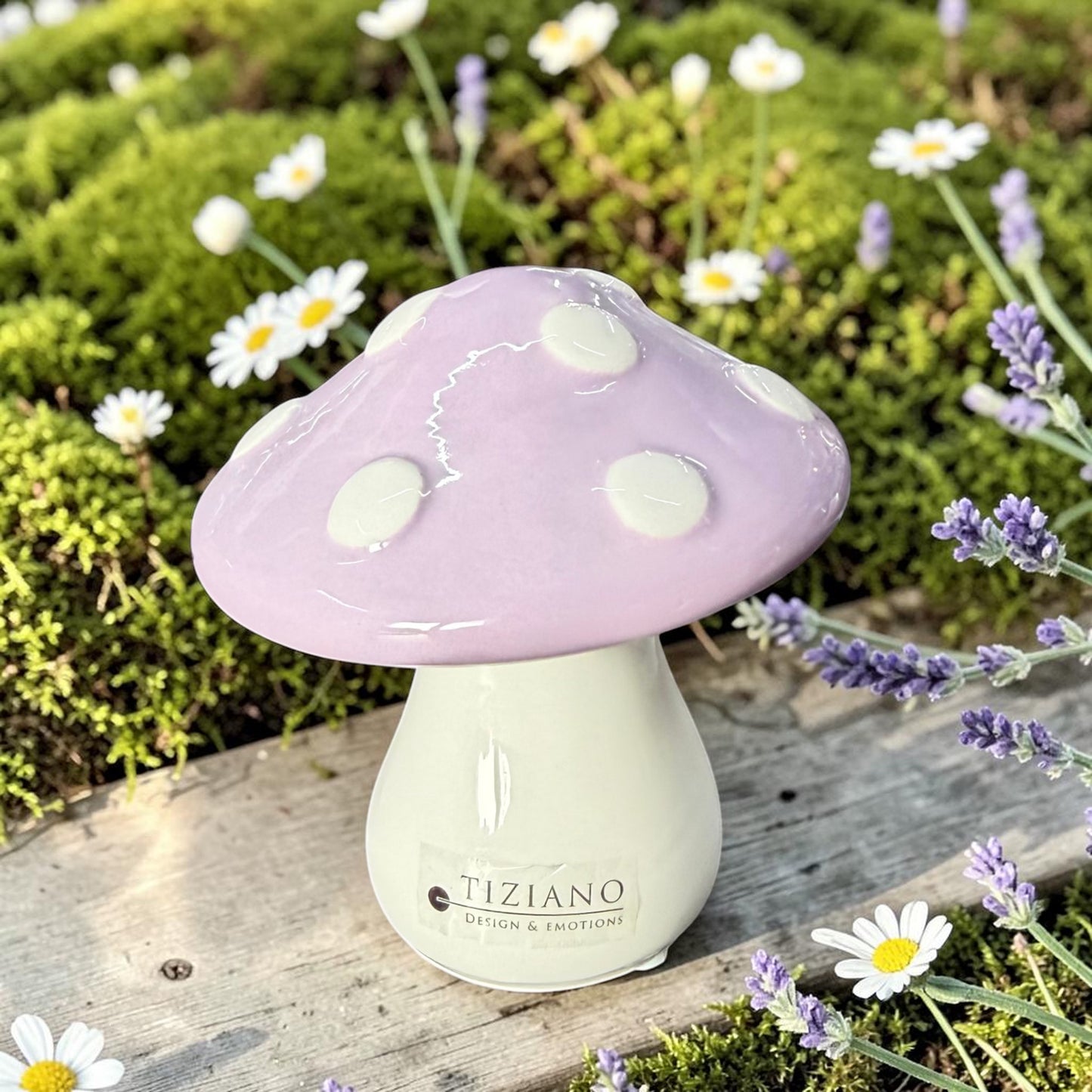 Tiziano Keramik-Pilz Ponti mit weißem Stiel und lilafarbenem Hut mit weißen Punkten auf einer grauen Holzfläche zwischen Moos, Gänseblümchen und Lavendel.